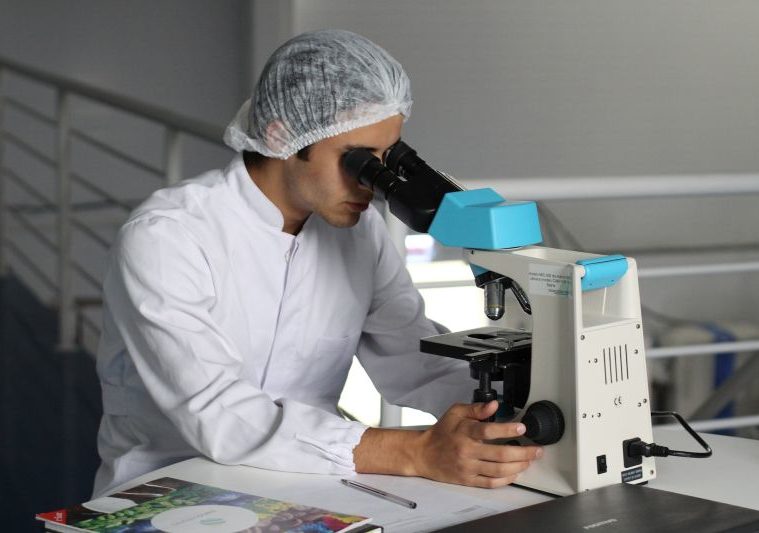 Mit Vitaminen und Mineralien Allergien vorbeugen