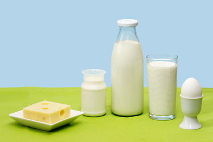 Frische Milch, Joghurt, Käse und Ei vor blauem Hintergrund